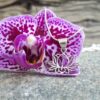 Fleur de Lotus, signification