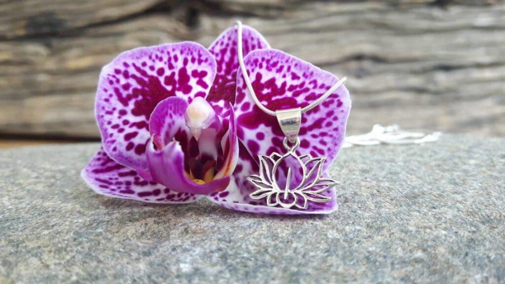 The Lotus Flower Meaning And Symbolic Omyoki
