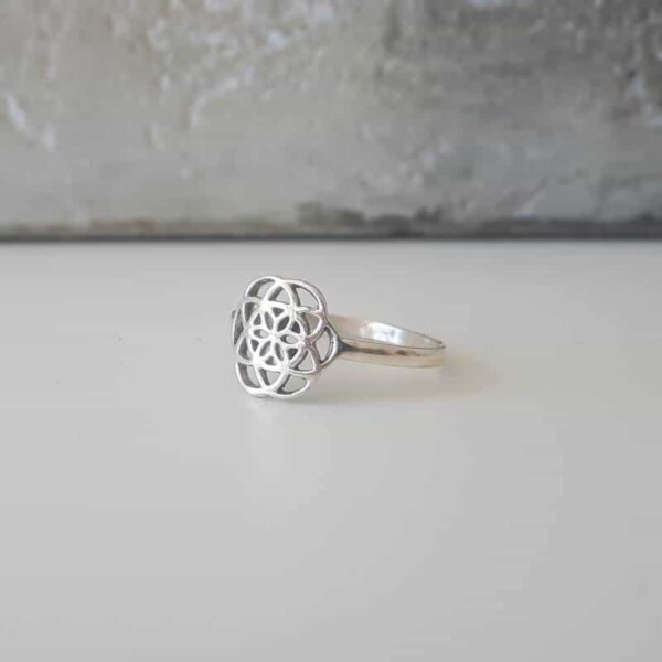 Silver seed ring