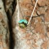 Collier turquoise ethnique LHASSA