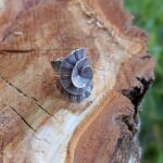 Bague KAREN en argent massif