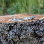 Bracelet en argent Fleur du Siam