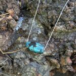 Collier turquoise argent DZI