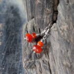 Boucles d'oreilles en cornaline rouge