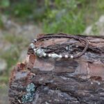 Bracelet cordon et argent homme HILLTRIBE