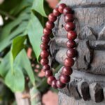 Bracelet homme en bois de SHEESHAM