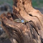 Bague fine réglable calcédoine