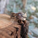 Bague homme en argent ethnique